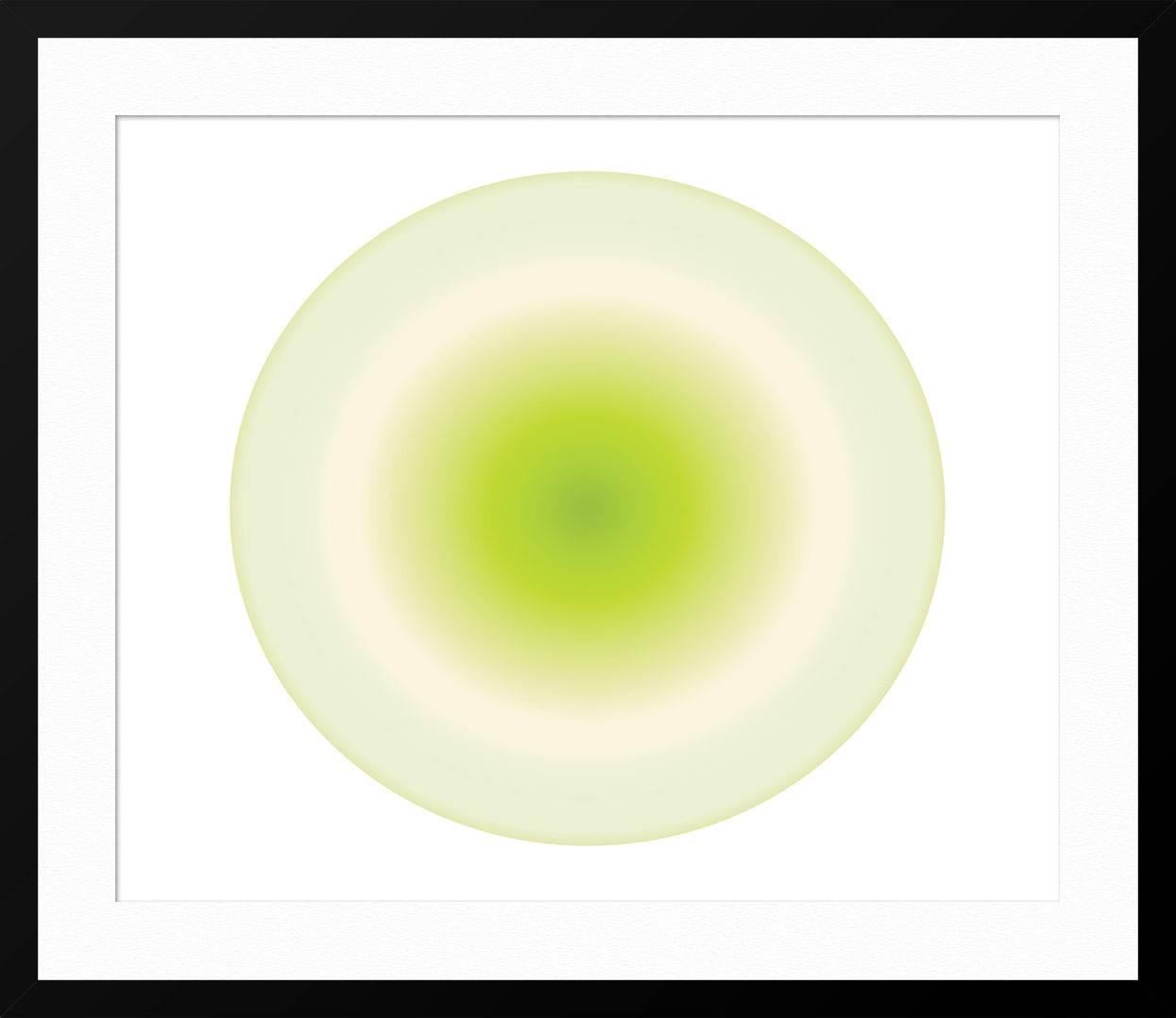 Drop of Green Circle For Sale 2