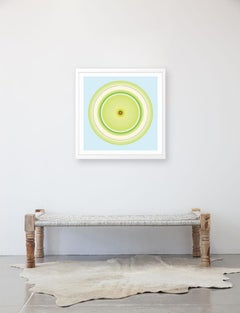Lime Circle with Red Centre
