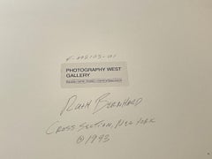 Cross-section, Shell Still Life