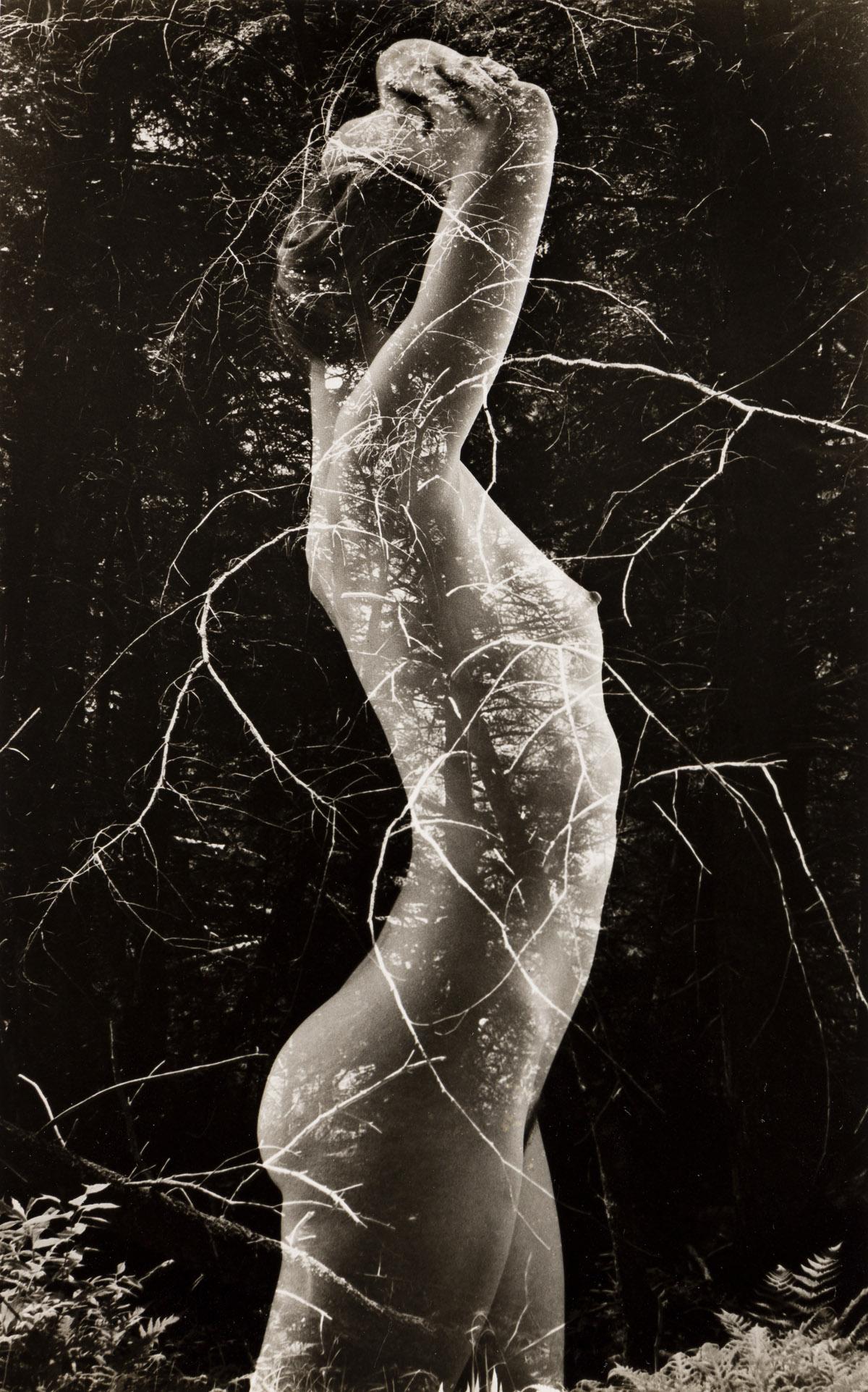 Black and White Photograph de Ruth Bernhard - Simbiosis, Libro y Conjunto Impreso