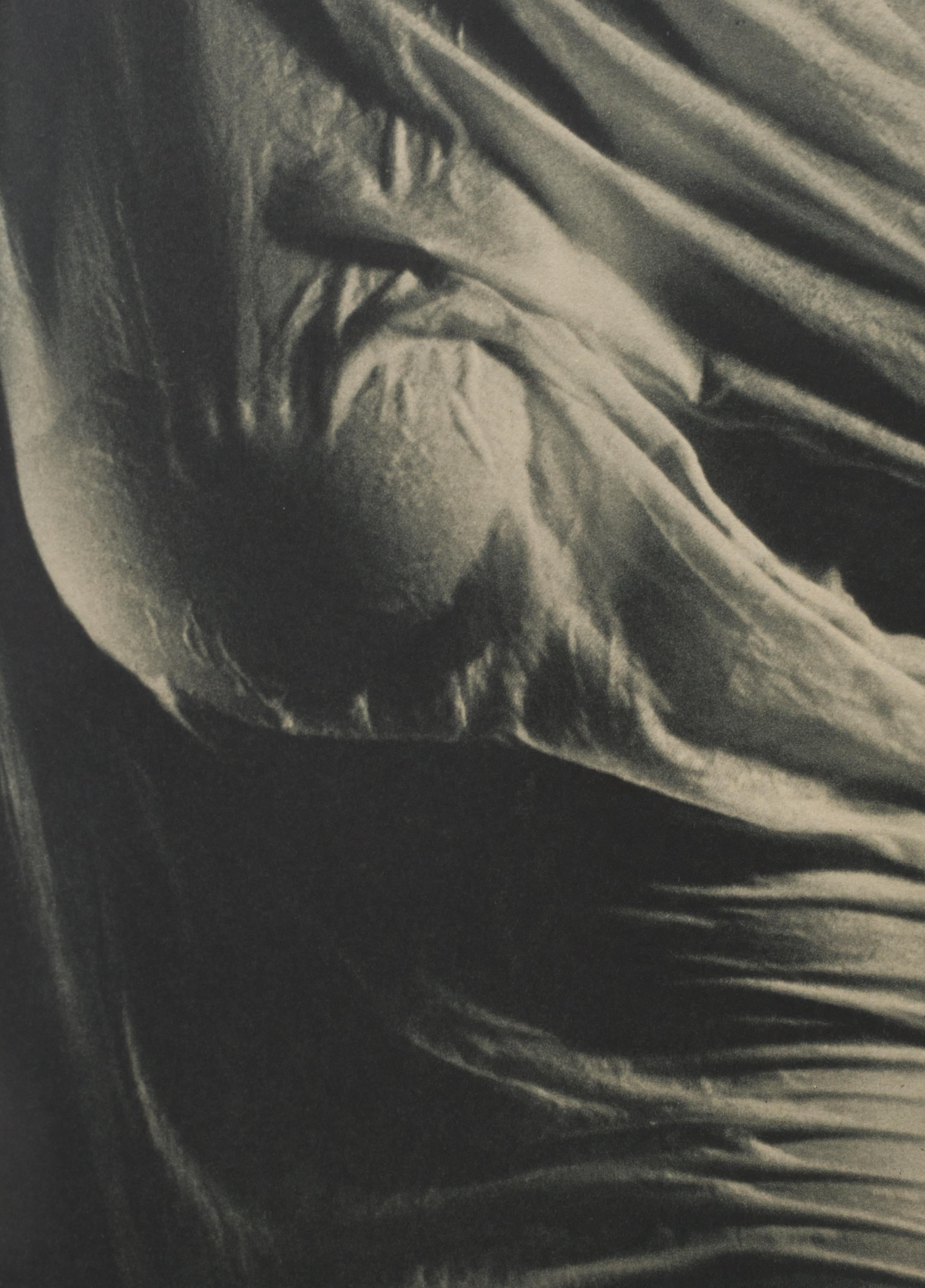 Wet Silk - Photograph by Ruth Bernhard