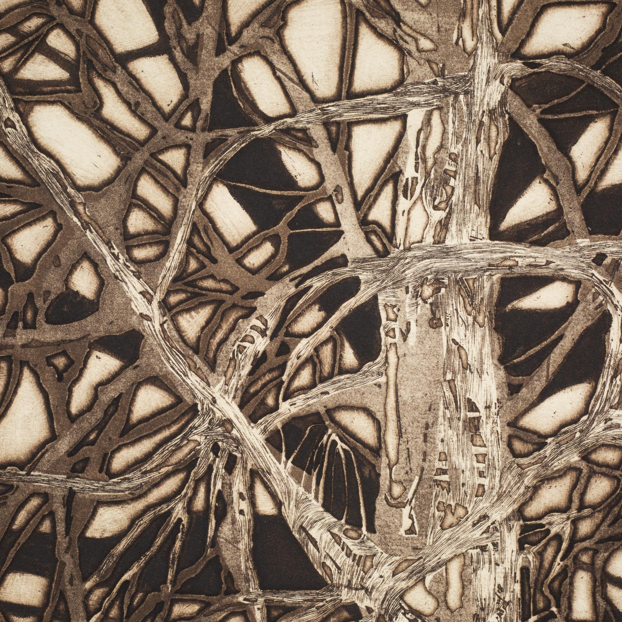 ABOUT

Ruth Leaf, Tree Forms Fugue, signed and numbered in pencil, 24/35, embossed color etching and aquatint on wove paper.

    CREATOR RUTH LEAF (1923-2015).
    DATE OF MANUFACTURE c.1940-1970. 
    MATERIALS AND TECHNIQUES Etching with Aquatint