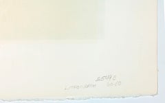 Herringbone Variation VI Lithograph, Abstract Geometric, 1970s