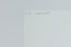 Prismatic Variation I