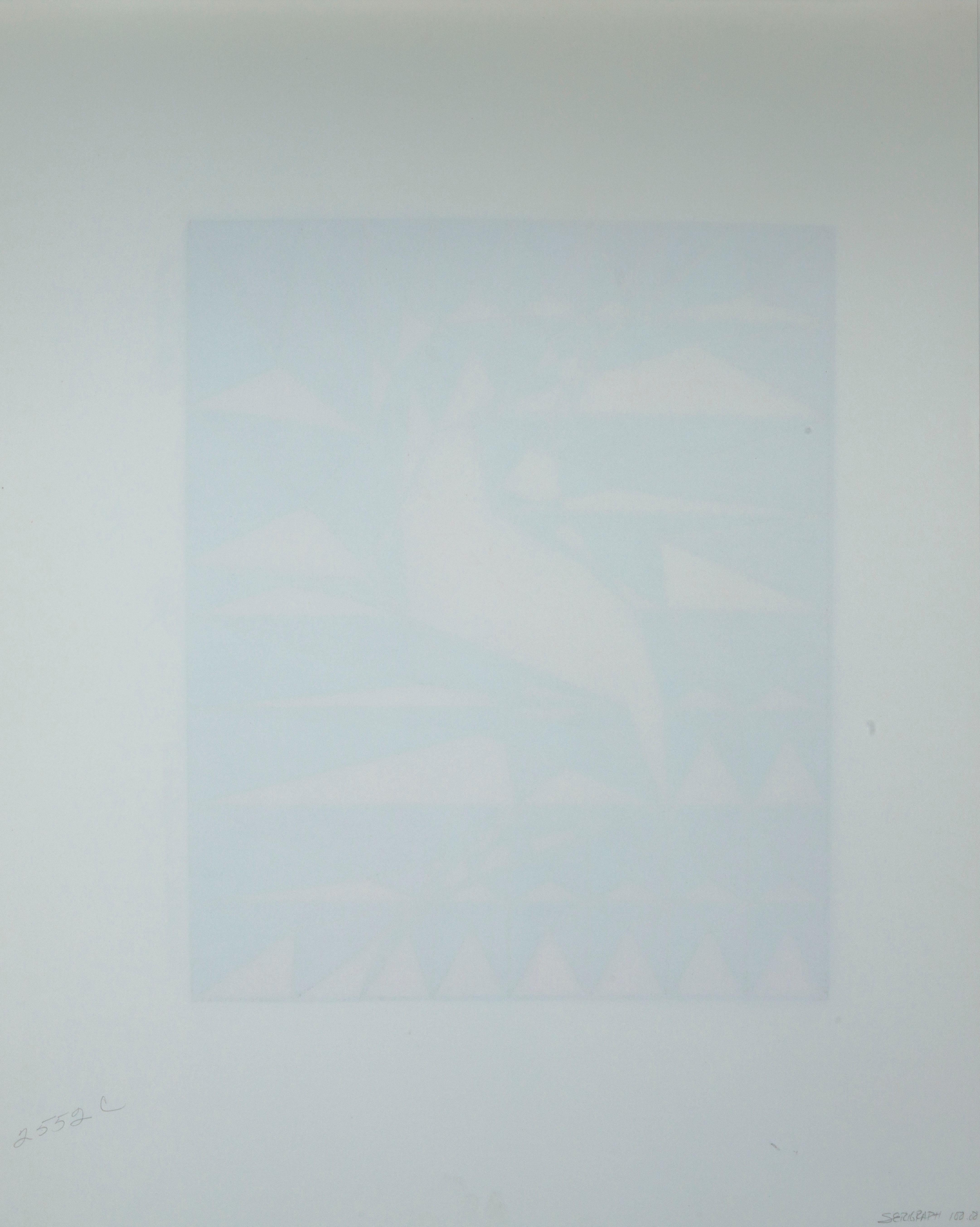 Prismatic Variation I - Abstract Geometric Print by Ruth Leavitt