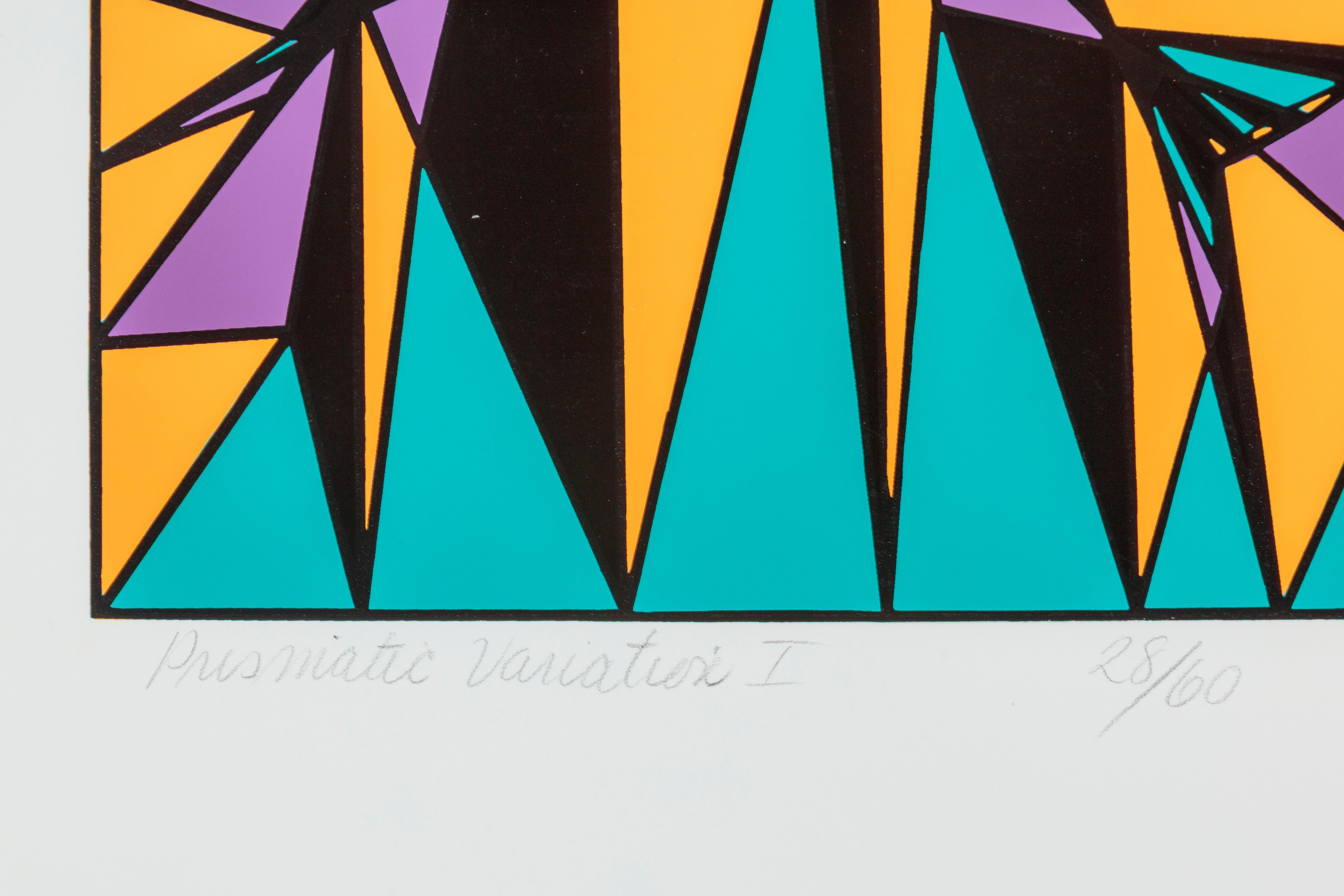 Prismatic Variation I For Sale 2