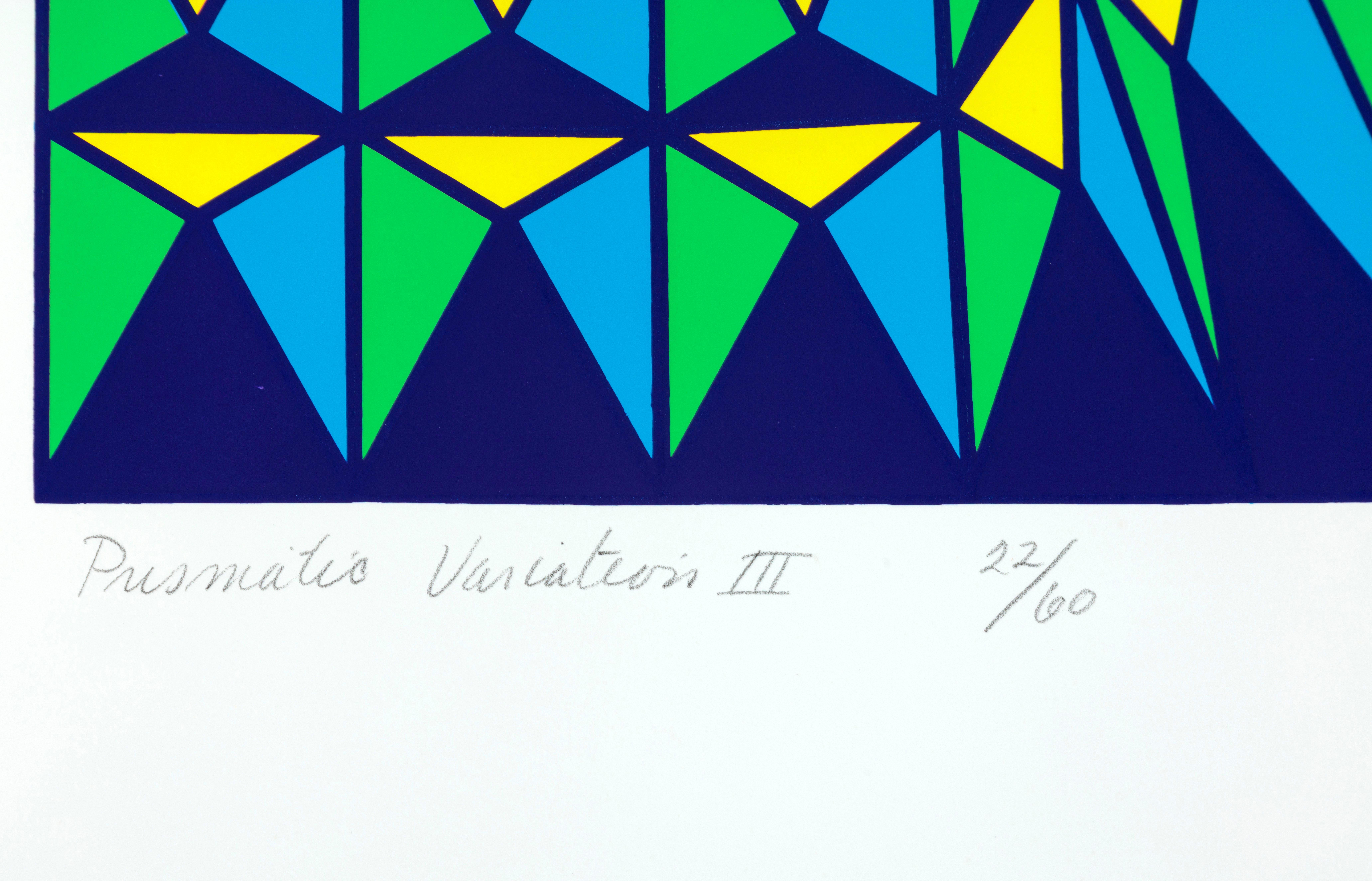 Prismatic Variation III - Abstract Geometric Print by Ruth Leavitt