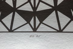 Prismatic Variation V/Silver