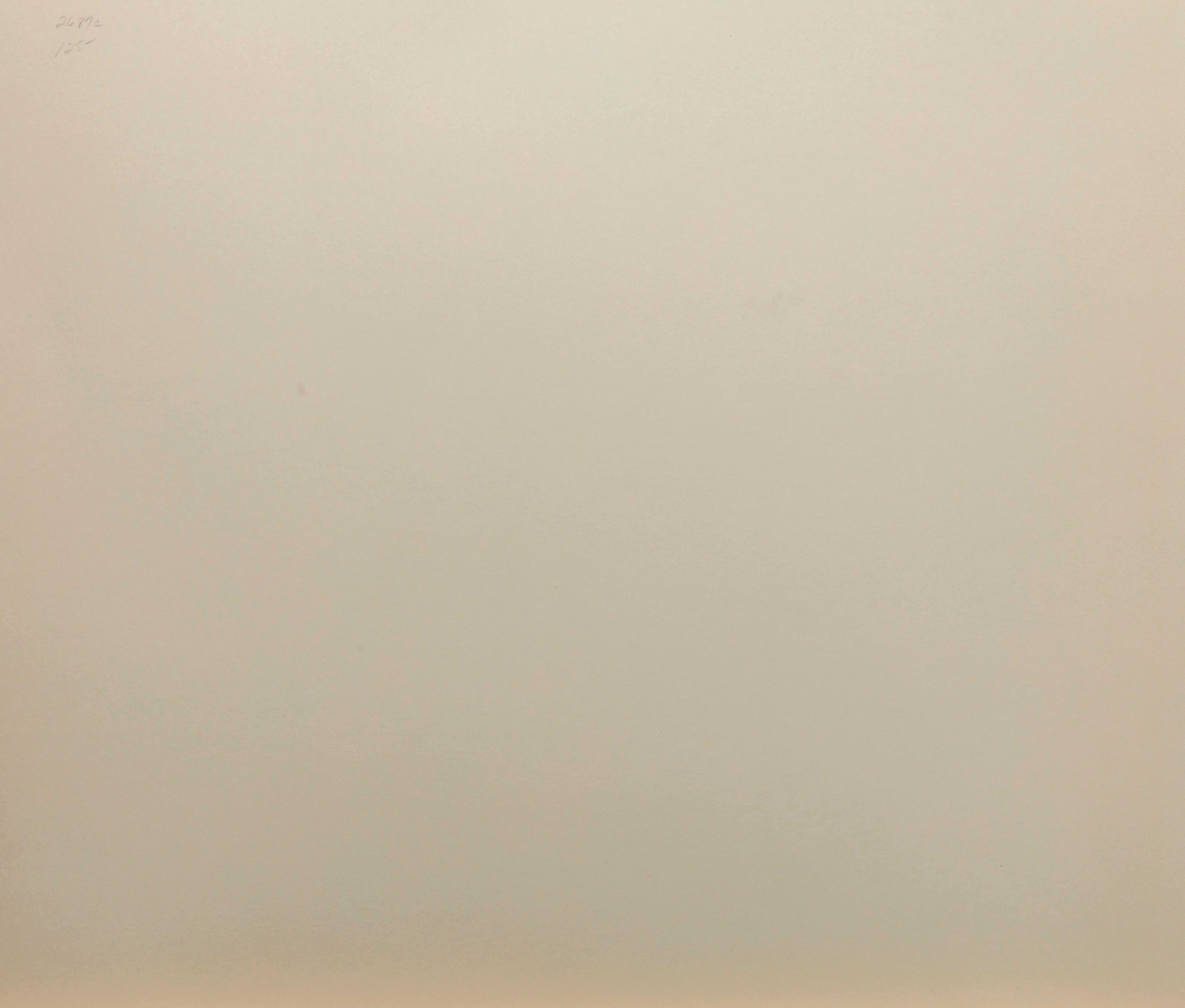 Variazione prismatica V/Argento - Abstract Print Grigio di Ruth Leavitt