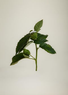 Ruth Nyc, Plate Signet Ring