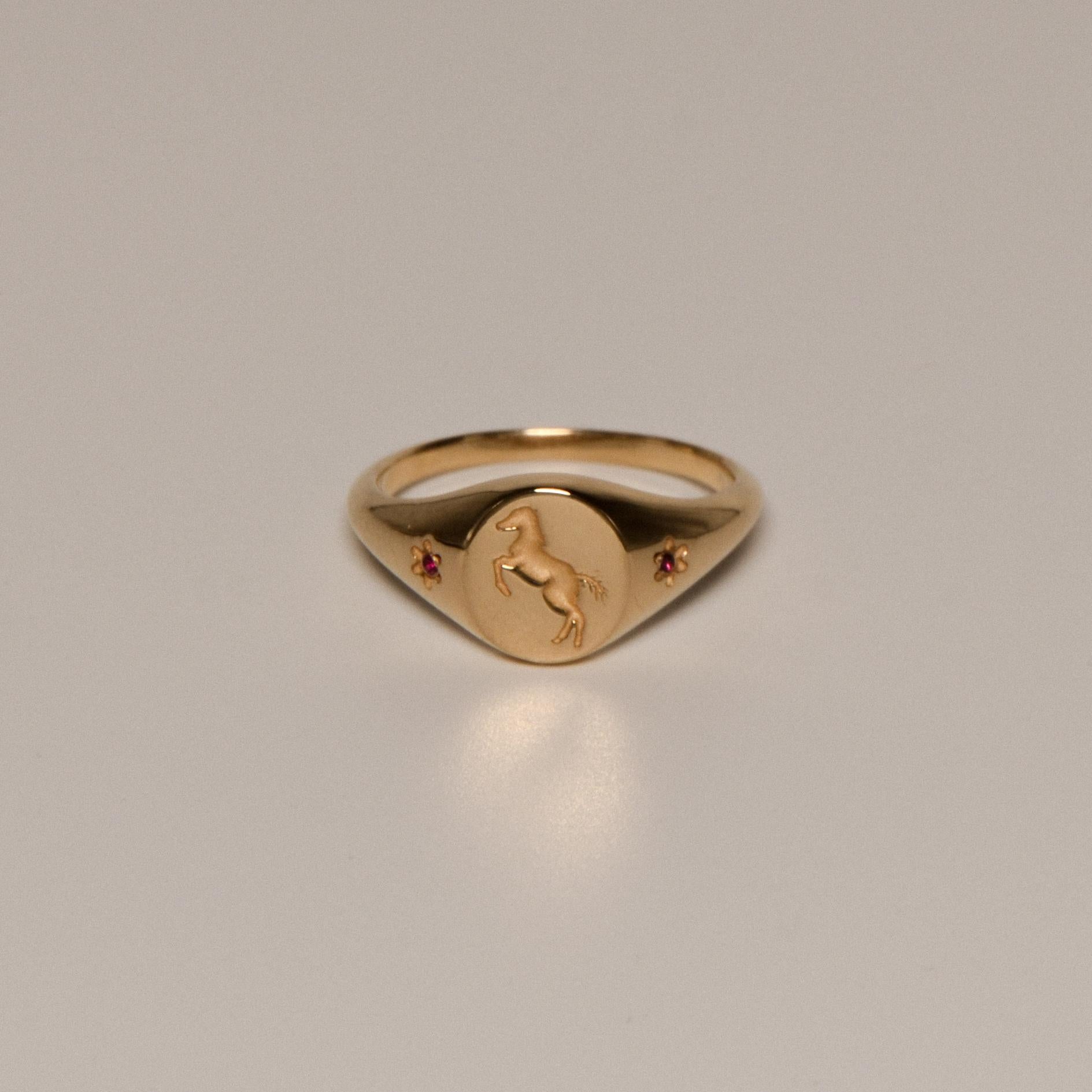 For Sale:  Ruth Nyc x Tea Leigh Pony Signet Ring, 14k Yellow Gold with Rubies 2