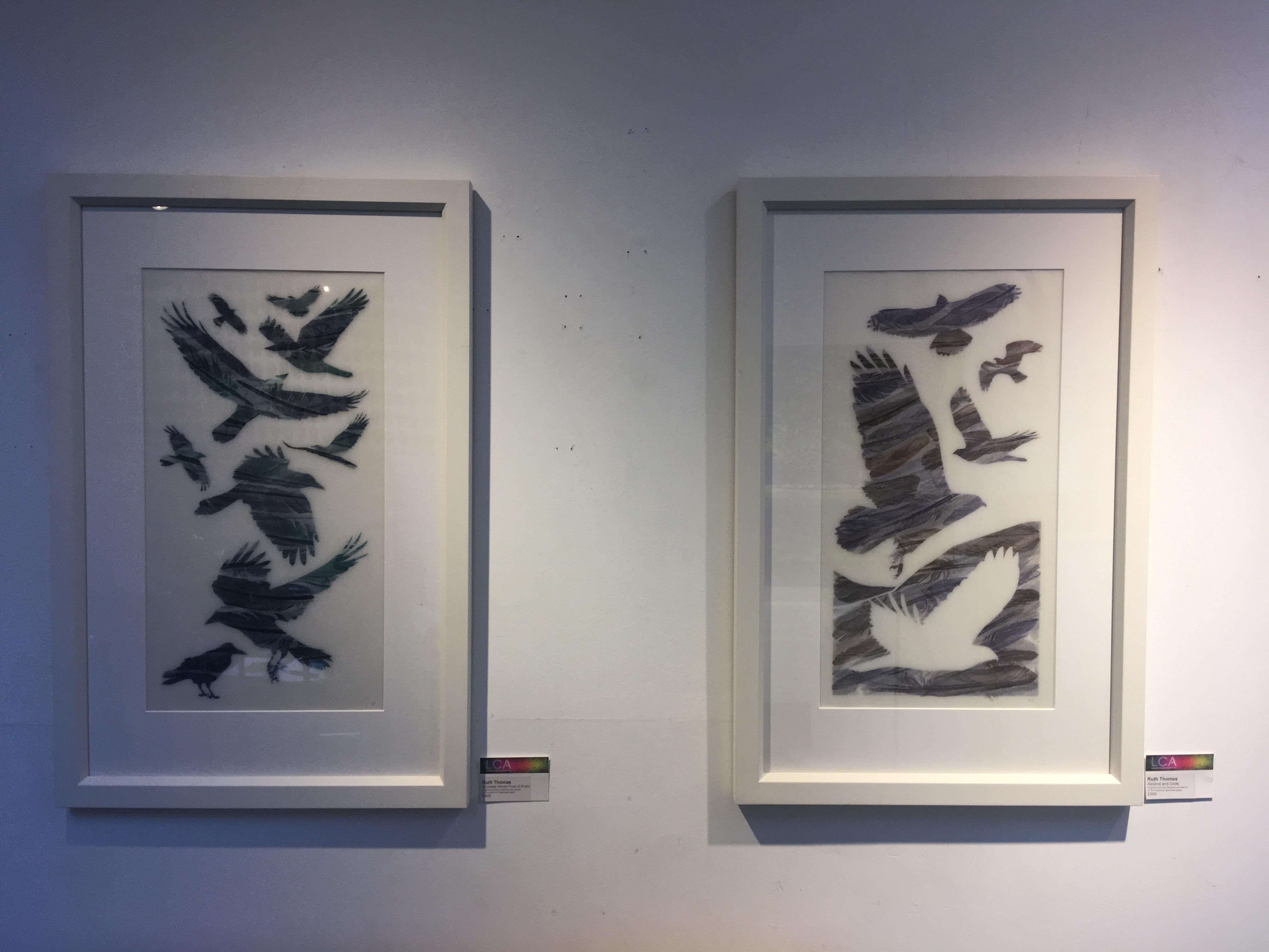 Original print from feathers and stencil on five layers of Japanese paper, limited edition.
Framed size: 75 x 50 cm

Artist's information:
Ruth Thomas RCA is a contemporary printmaker based in North Wales. She makes original prints inspired by
