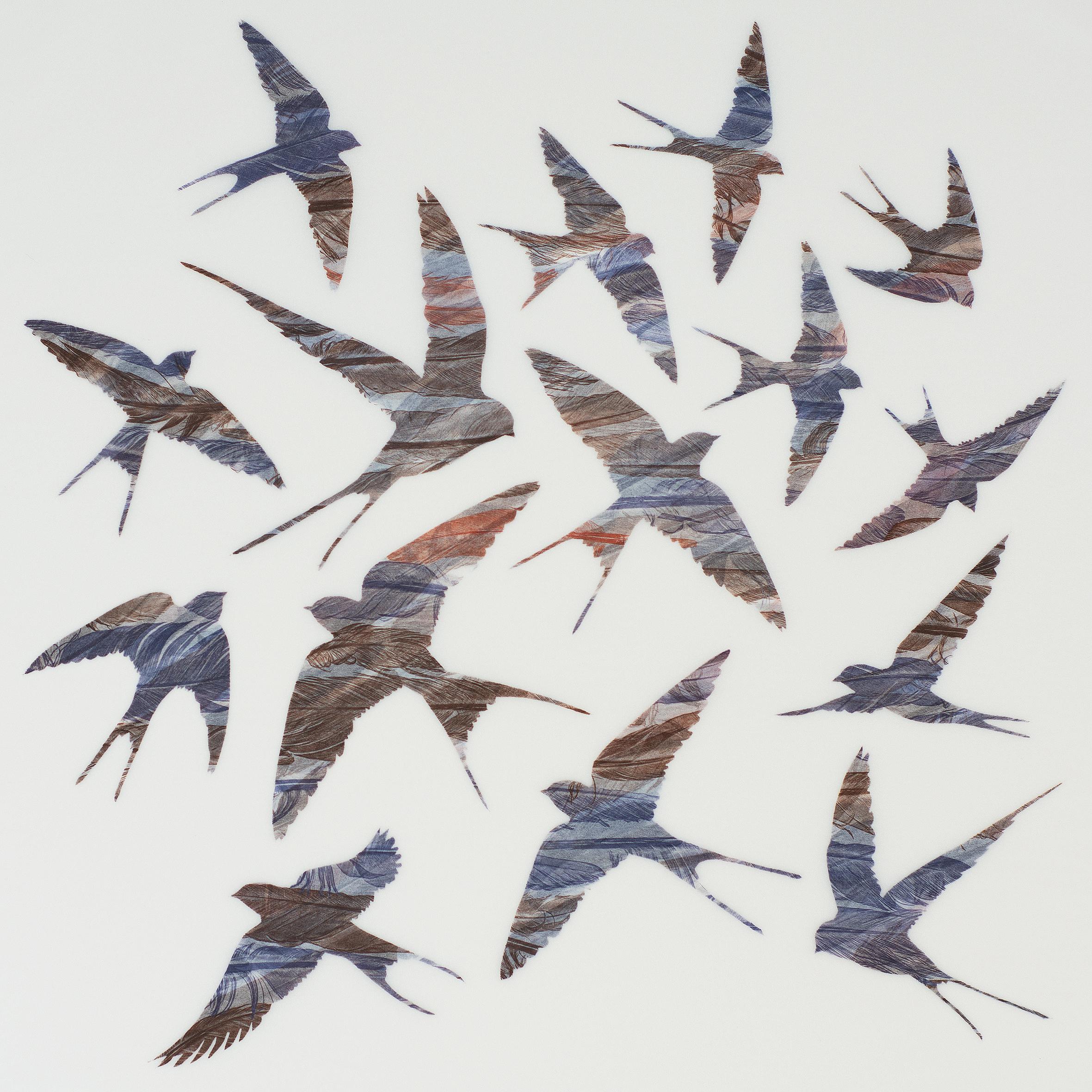 Ruth Thomas Animal Print - As Swift as Swallows Fly - original print feathers stencil Japanese paper