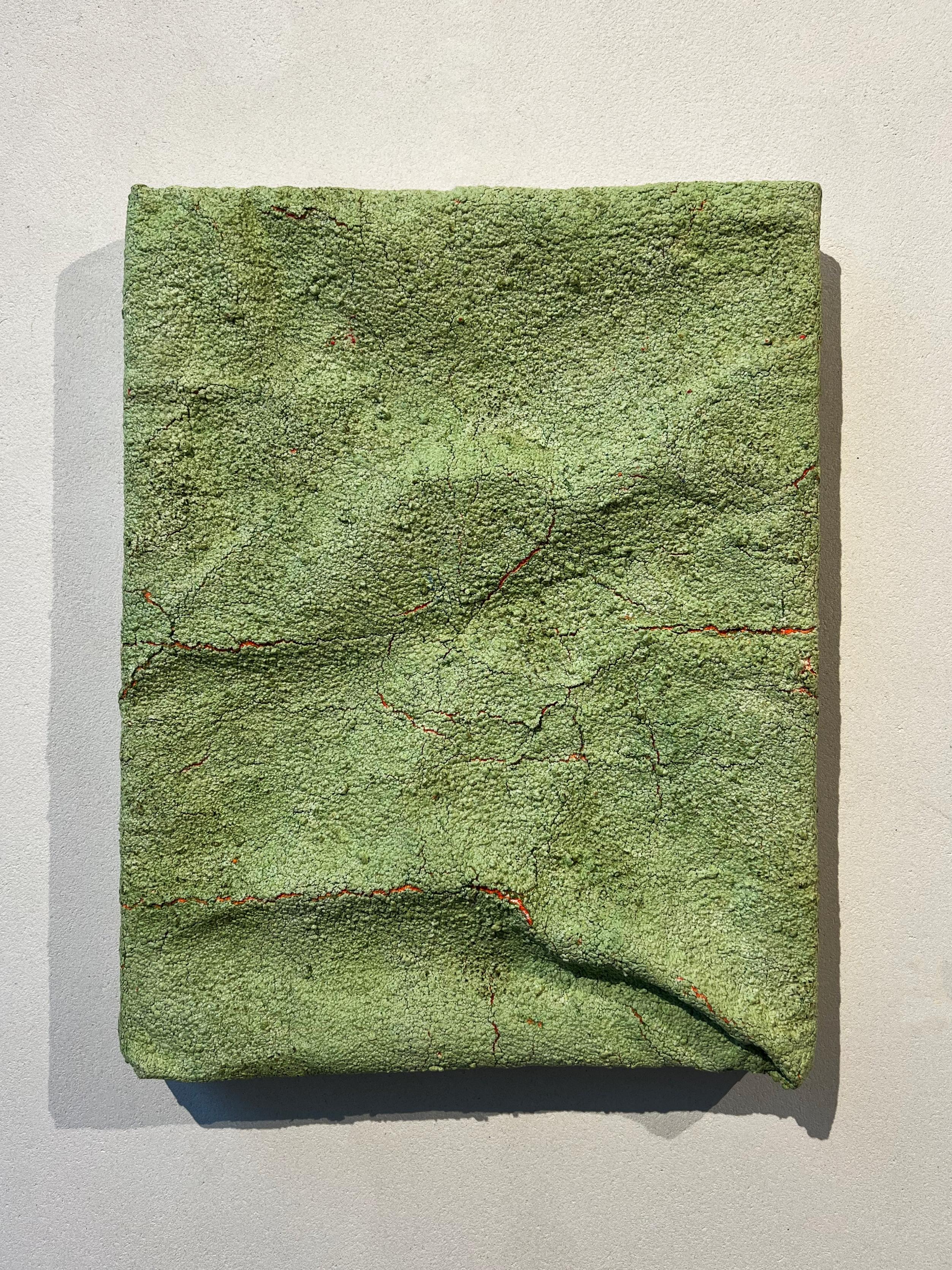 un prato verde riempito da centinaia di strati di vernice rimbalzante, un'opera tridimensionale - Painting di Ruth Vidal