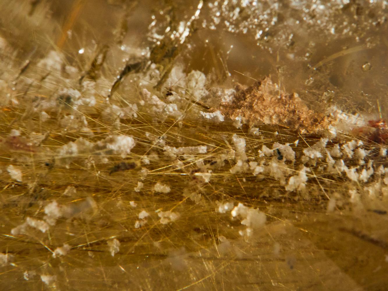 This captivating transparent rutilated quartz sphere from Brazil reveals
a delicate internal landscape, where golden inclusions blossom like
suspended flowers within crystal. The intricate patterns resemble tiny
petals or radiant bursts, gently