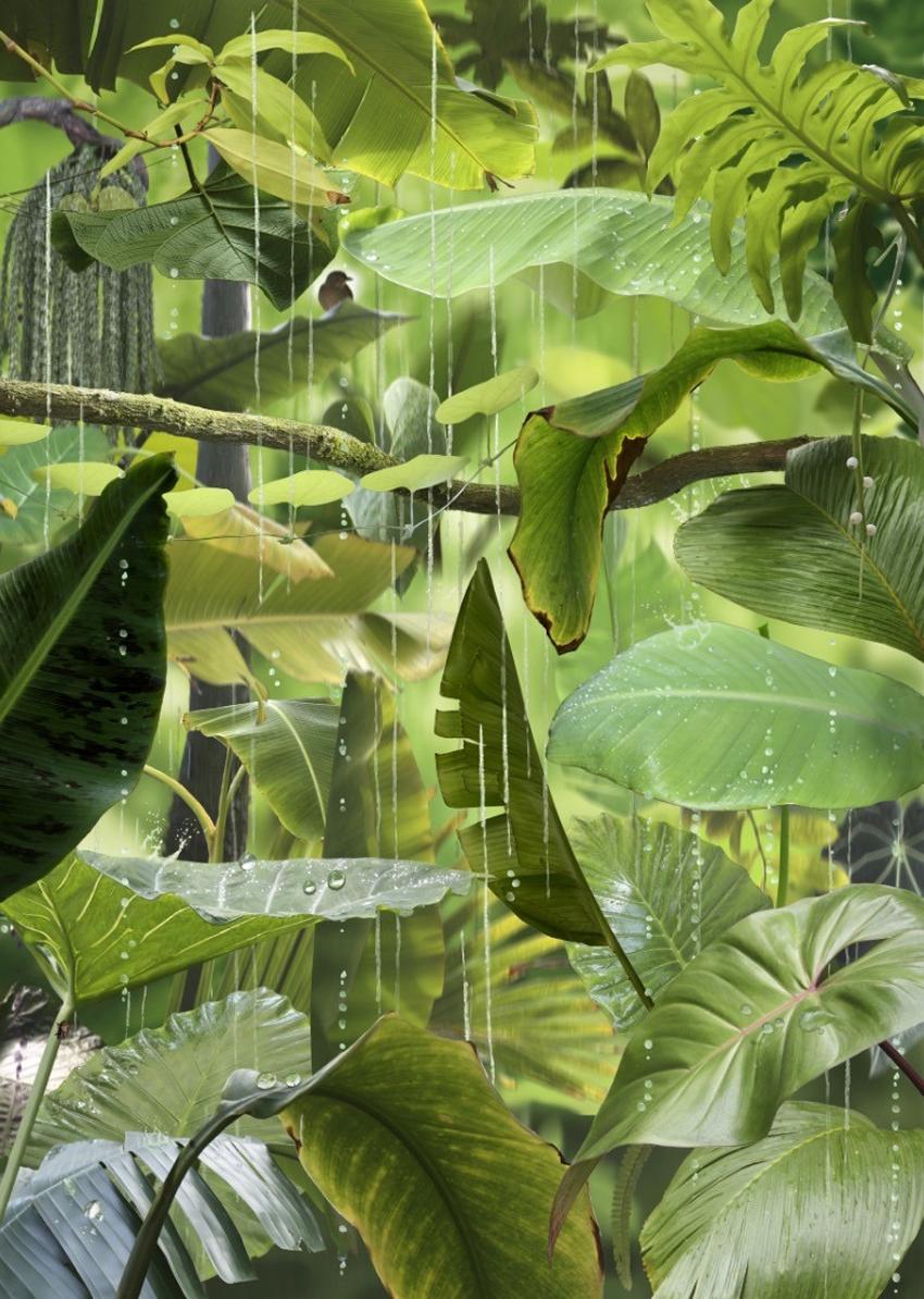 Ruud van Empel Color Photograph - Arcadia #1