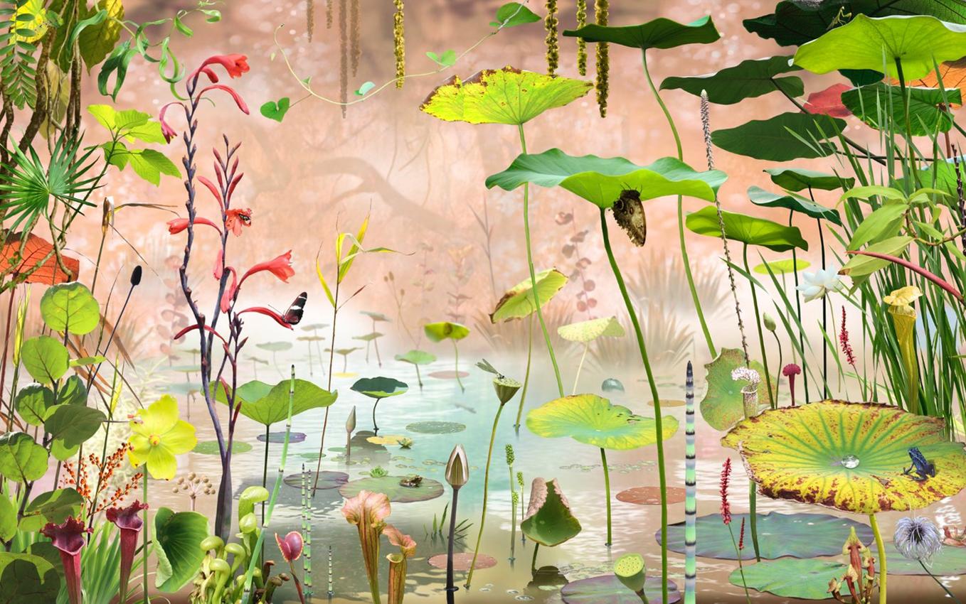 Arcadia #3