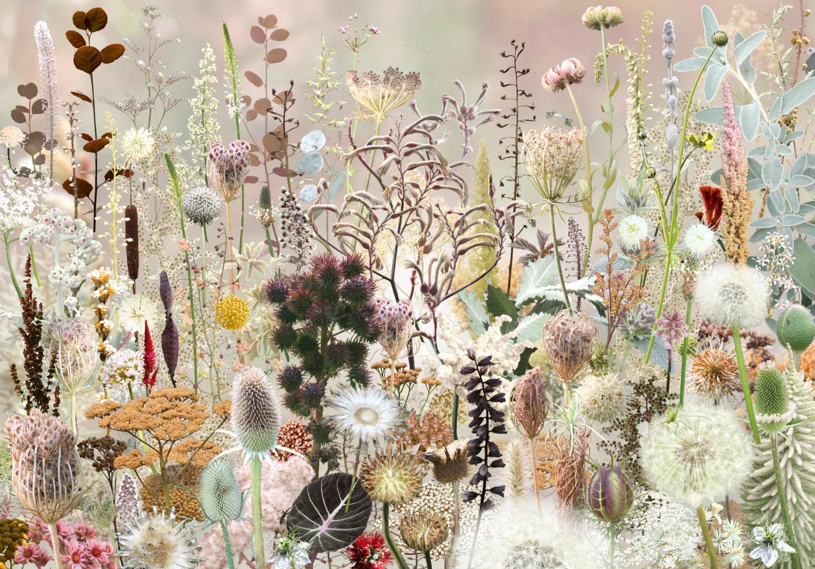 Ruud van Empel Color Photograph - Floresta #2