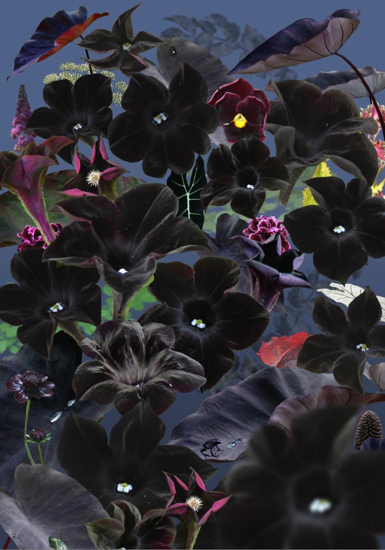 Floresta Negra #1 - Ruud van Empel (Colour Photography)
