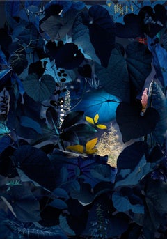 Floresta Negra n°5 - Ruud van Empel (Photographie couleur)