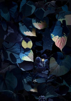 Floresta Negra #6 - Ruud van Empel (Farbfotografie)