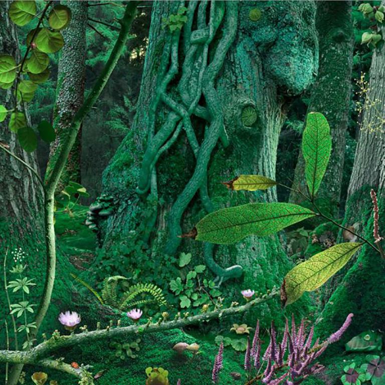 Theatre #1 - Ruud van Empel (Colour Photography)
Signed, dated. Inscribed with title and numbered on reverse
Archival pigment print
47 x 47 inches
From an edition of 10 + 2 APs

Ruud van Empel (b. 1958) is one of the most innovative contemporary
