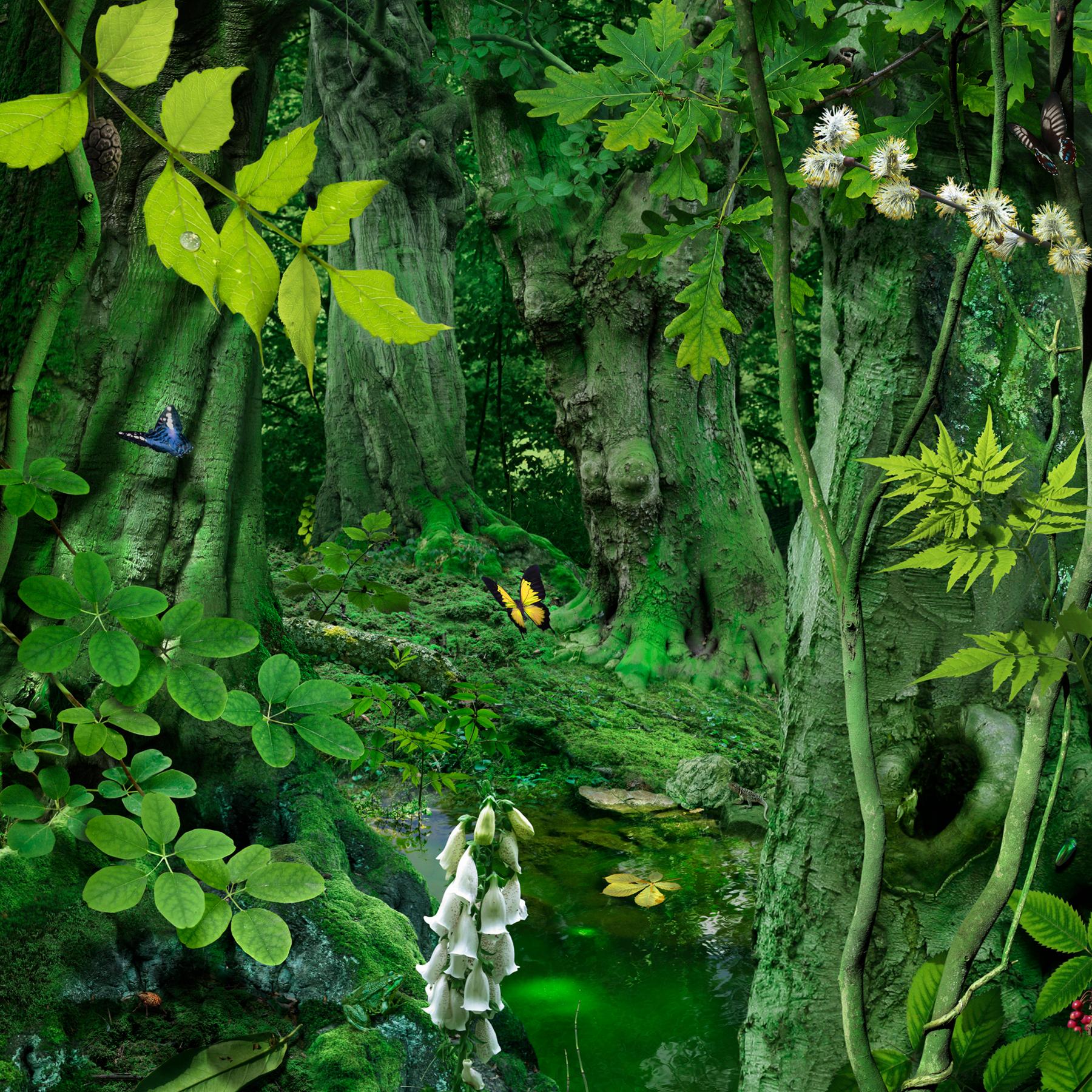 Color Photograph Ruud van Empel - Théâtre n°2