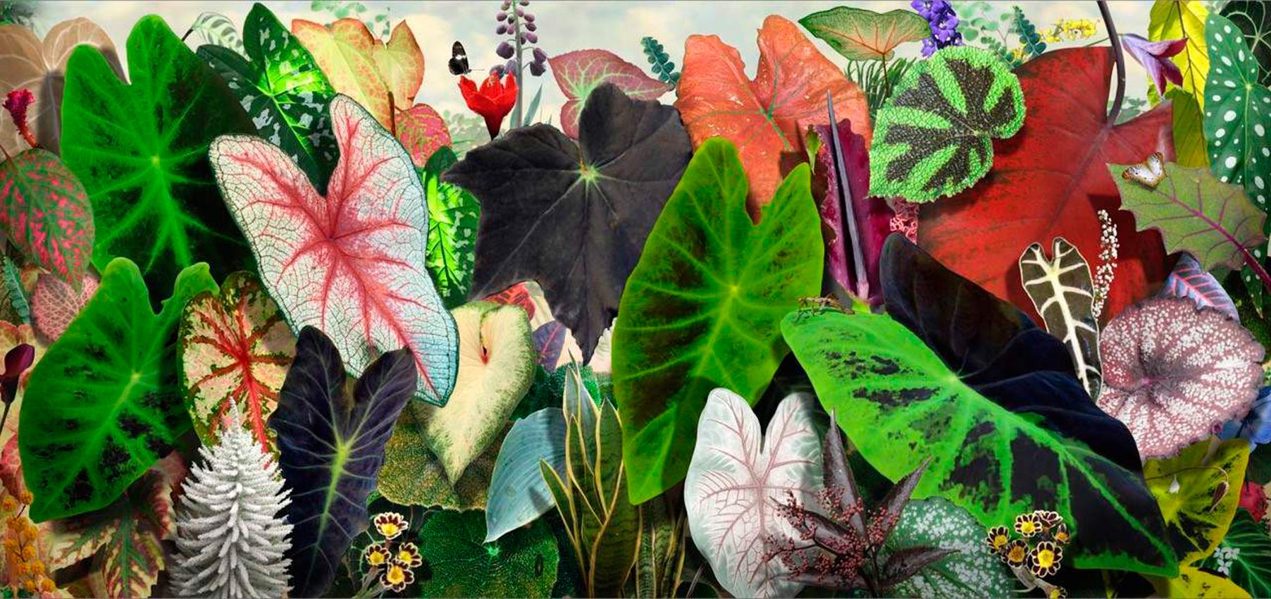 Ruud van Empel Color Photograph - Voyage Pittoresque #10