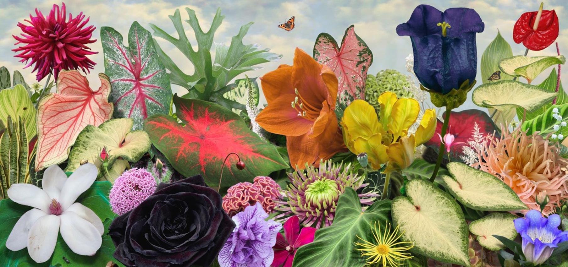 Ruud van Empel Color Photograph - Voyage Pittoresque #11