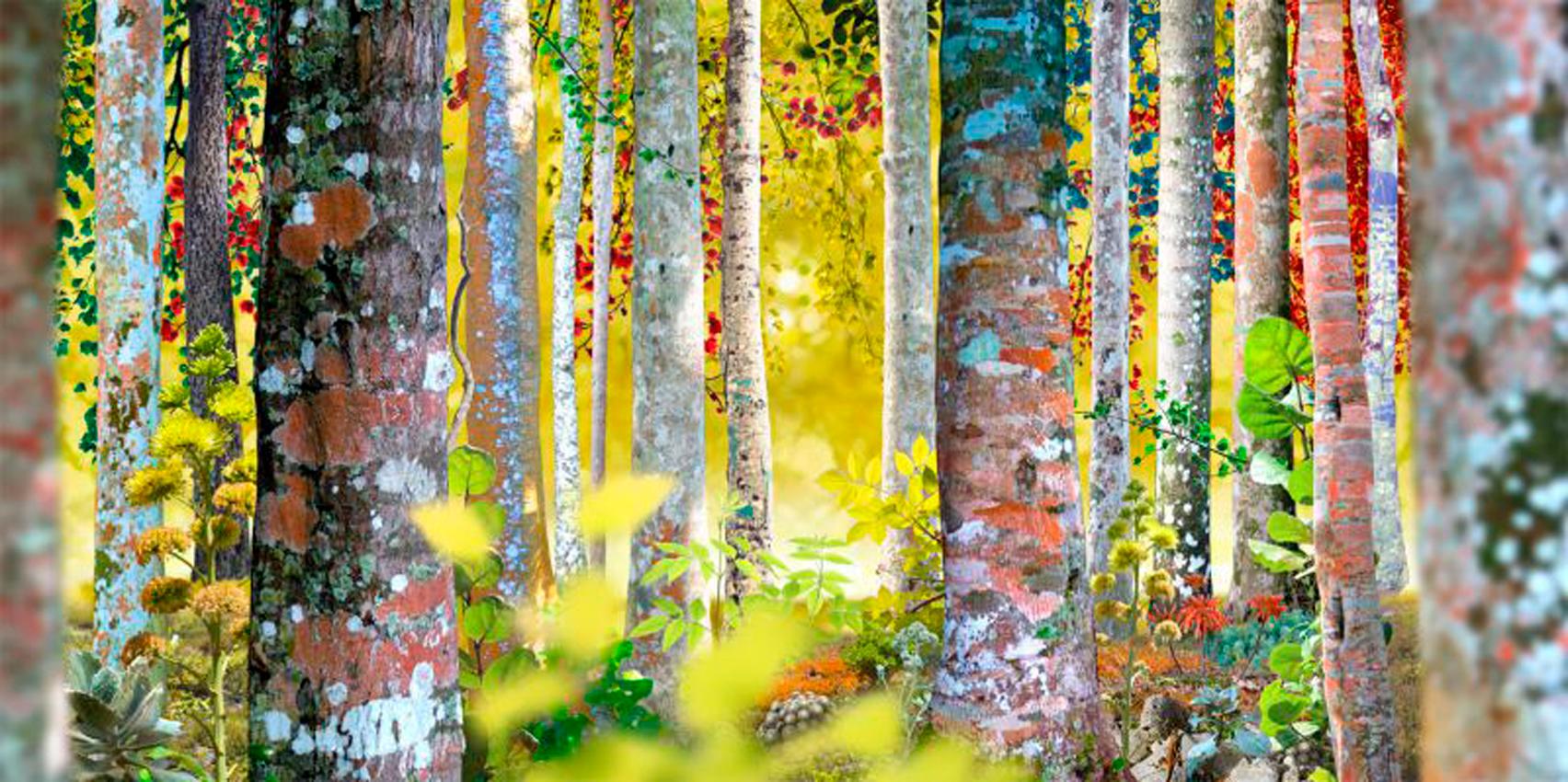 Ruud van Empel Color Photograph - Voyage Pittoresque #4
