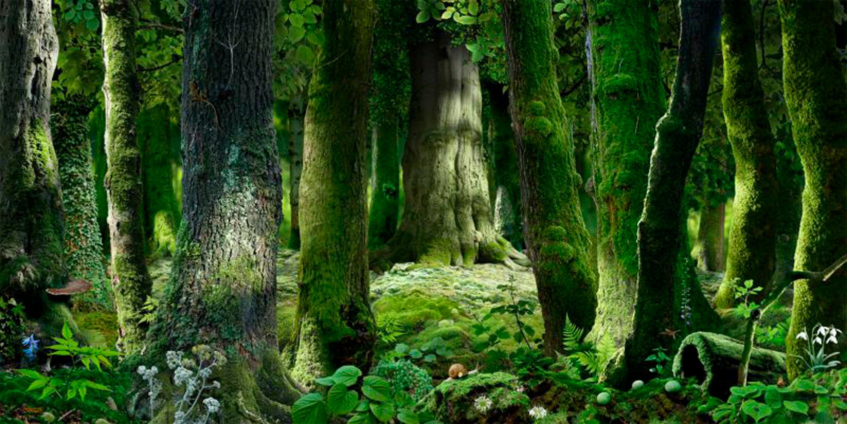 Ruud van Empel Color Photograph - Voyage Pittoresque #5