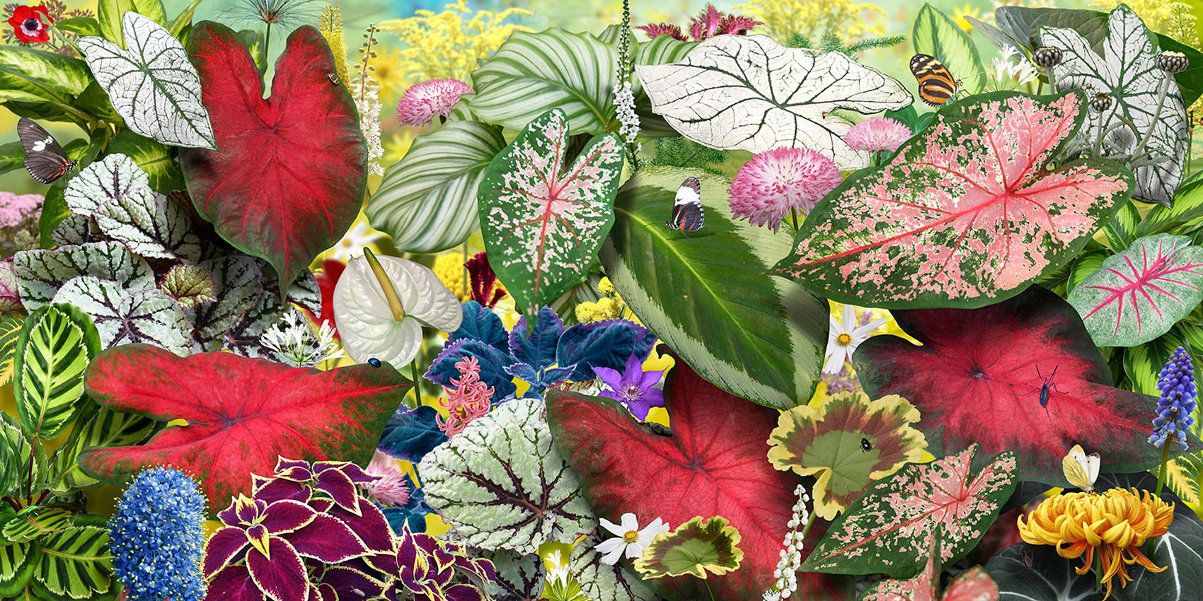 Ruud van Empel Color Photograph - Voyage Pittoresque #6