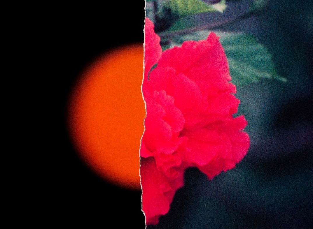 21° N 87° W #1 (SUN/FLOWER #1)' Impression photo d'archives, par Ruvan Wijesooriya 1