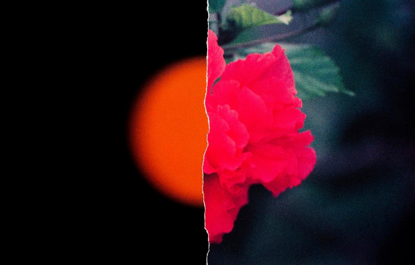 21° N 87° W #1 [SUN/FLOWER #1] de Ruvan Wijesooriya, Rep by Tuleste Factory

La photographie n
est pas encadrée.

Photographié par Ruvan Wijesooriya dans sa série Yucatán. Ce collage apporte un effet visuel organique avec une représentation