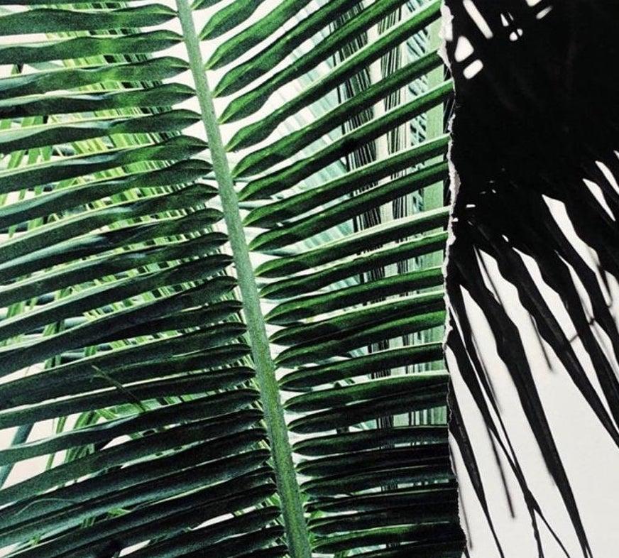 Untitled (Yucatan Palm Ripped Print) by Ruvan Wijesooriya Rep by Tuleste Factory For Sale 1