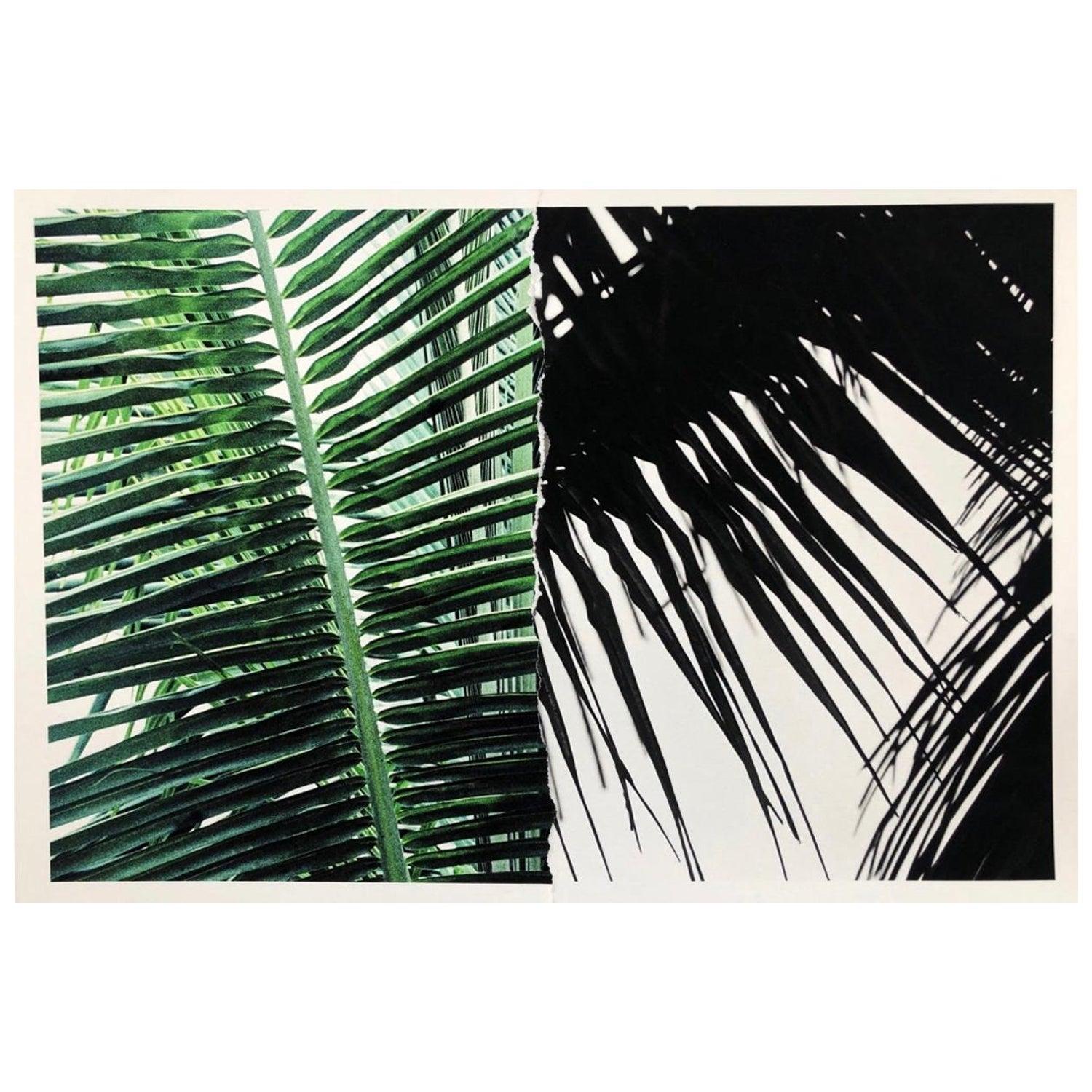 Untitled (Yucatan Palm Ripped Print) by Ruvan Wijesooriya Rep by Tuleste Factory