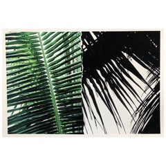 Sans titre (impression Yucatan Palm Ripped Print) Impression pigmentaire d'art de Ruvan Wijesooriya