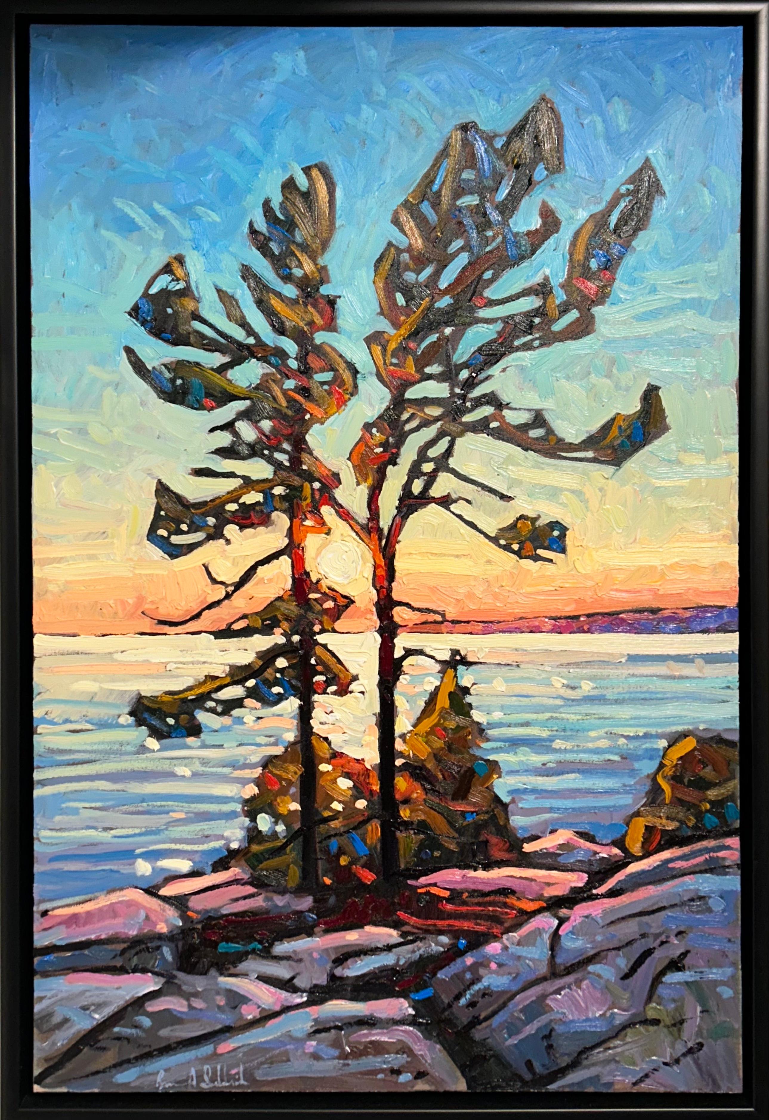 Huile sur toile de style impressionniste contemporain 'Noble Pines at Sunset' (pins nobles au coucher du soleil)