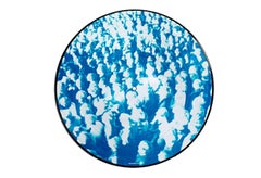 Ryan McGinley Vinyl Record Art (Ryan McGinley photographer)