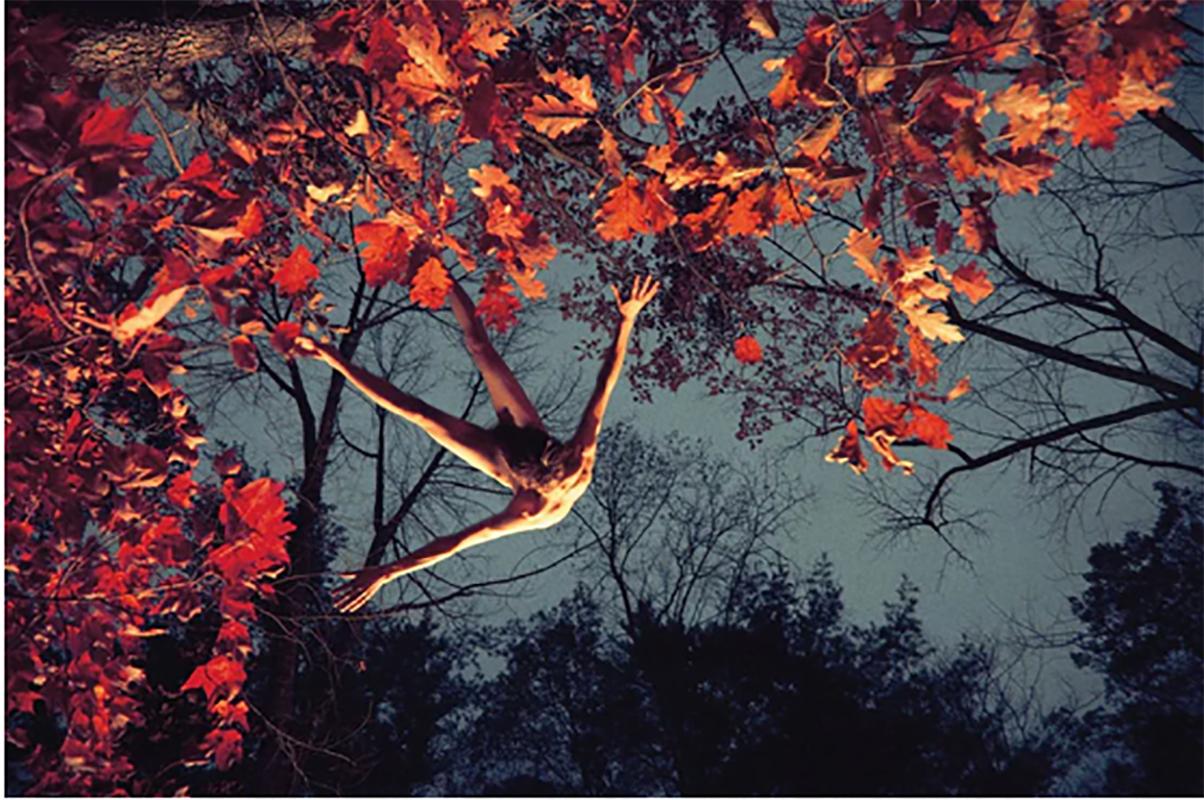 ryan mcginley poster