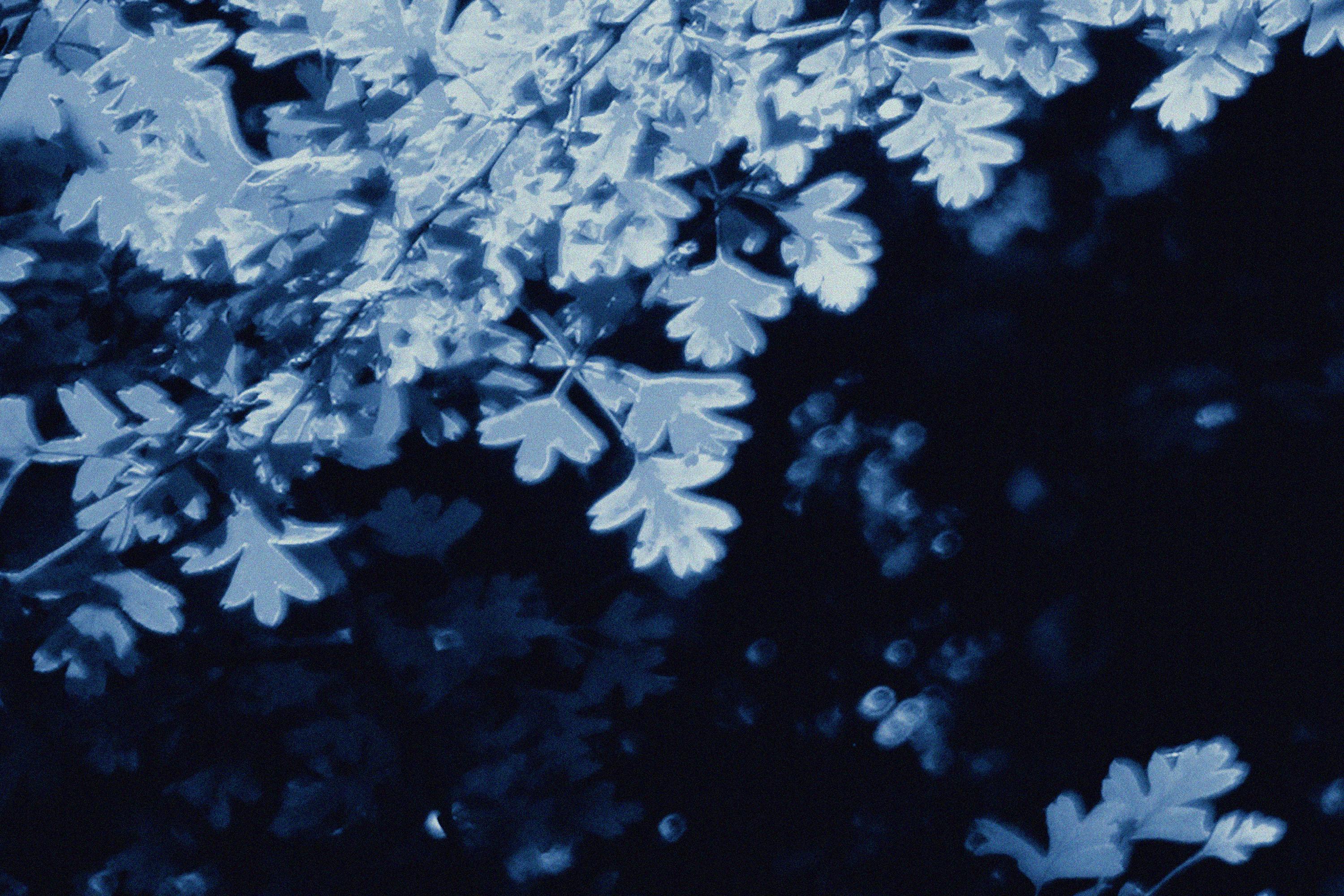 Dark Forest, Giclée Print Diptych Landscape, Blue Tones Impressionist Leaves  For Sale 7