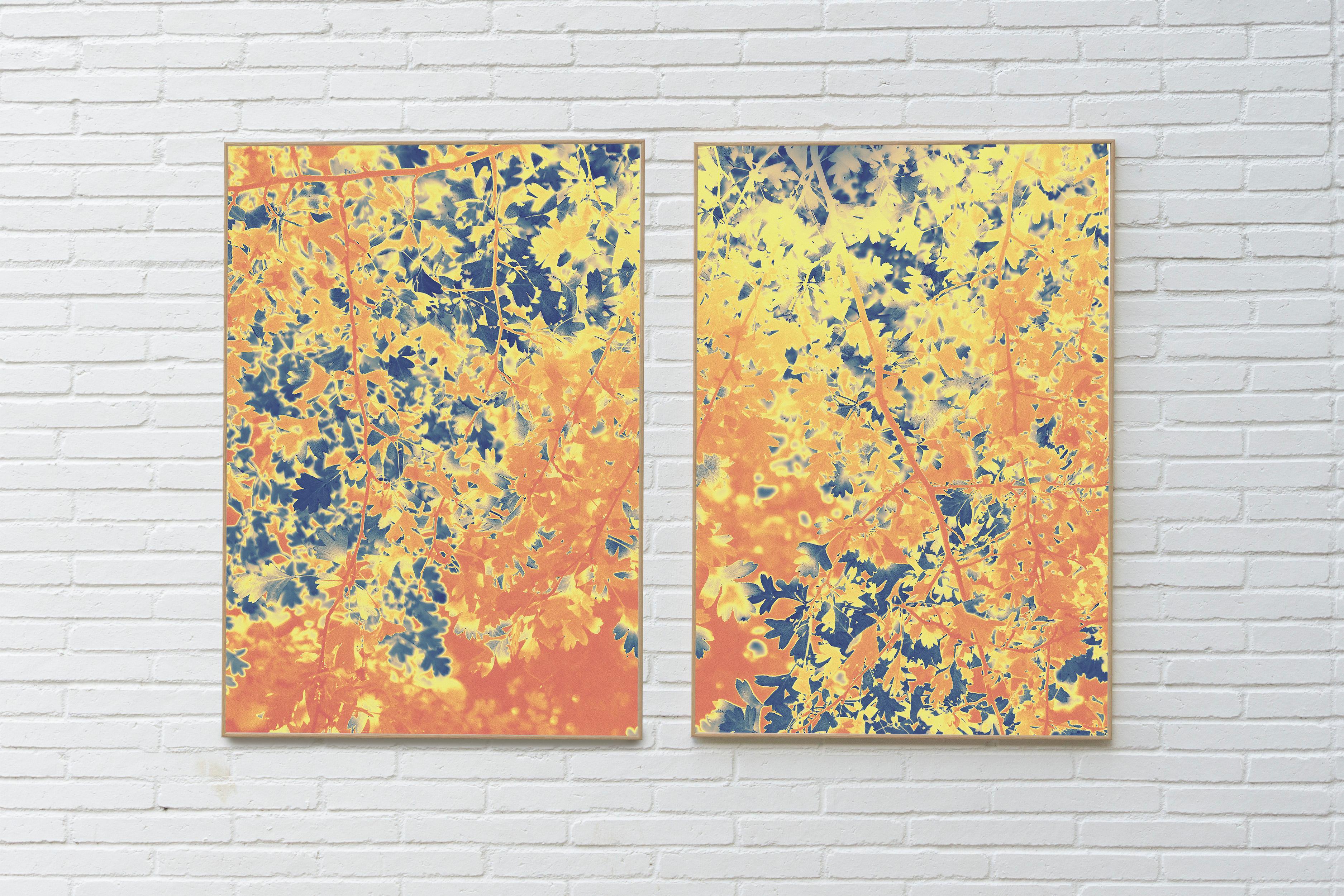 Forest Embers, Giclée Print Diptych Landscape, Warm Tons Abstract Autumn Leaves  - Photograph by Ryan Rivadeneyra