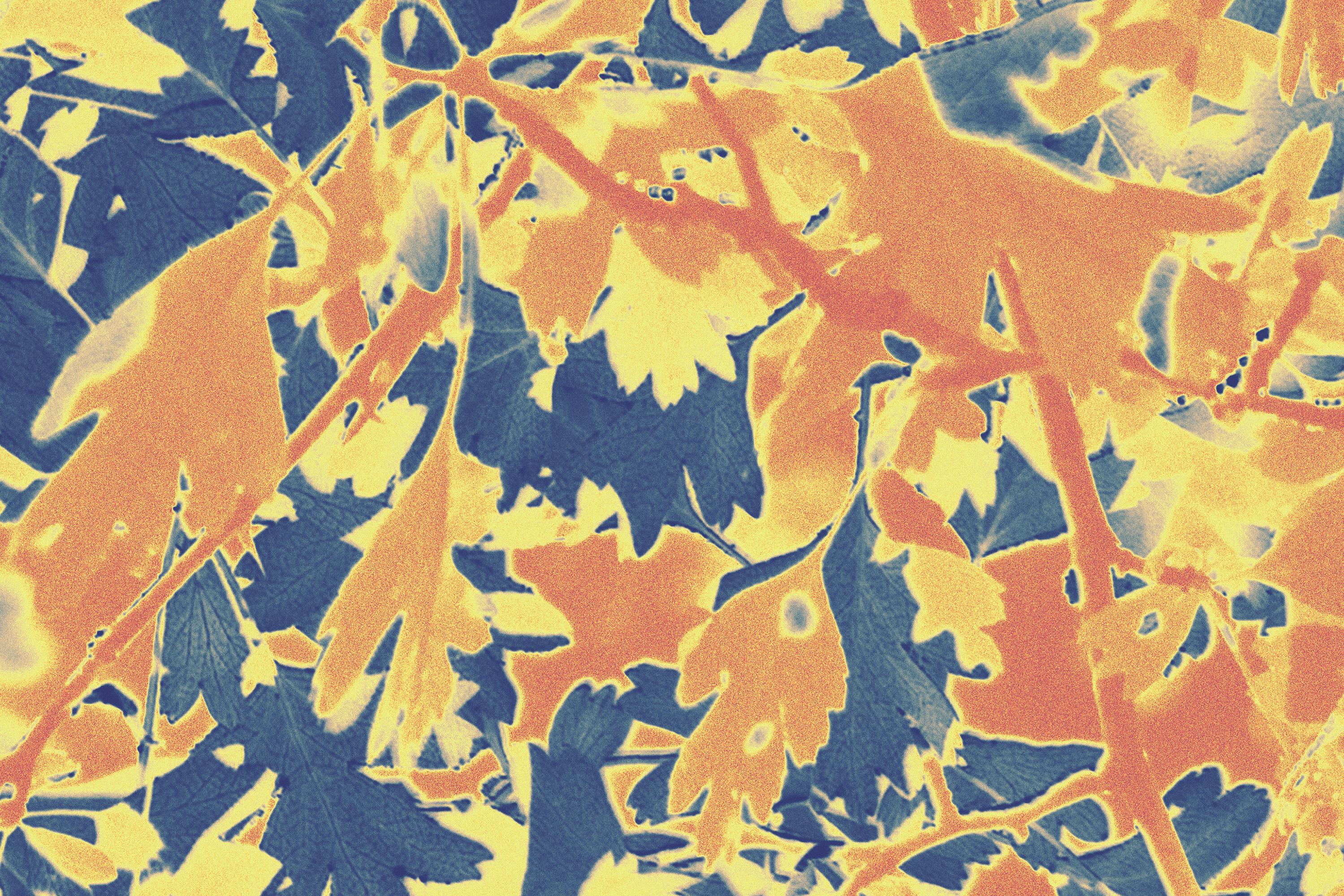Braises de forêt, impression giclée diptyque paysage, chaudes tonnes abstraites feuilles d'automne  en vente 5