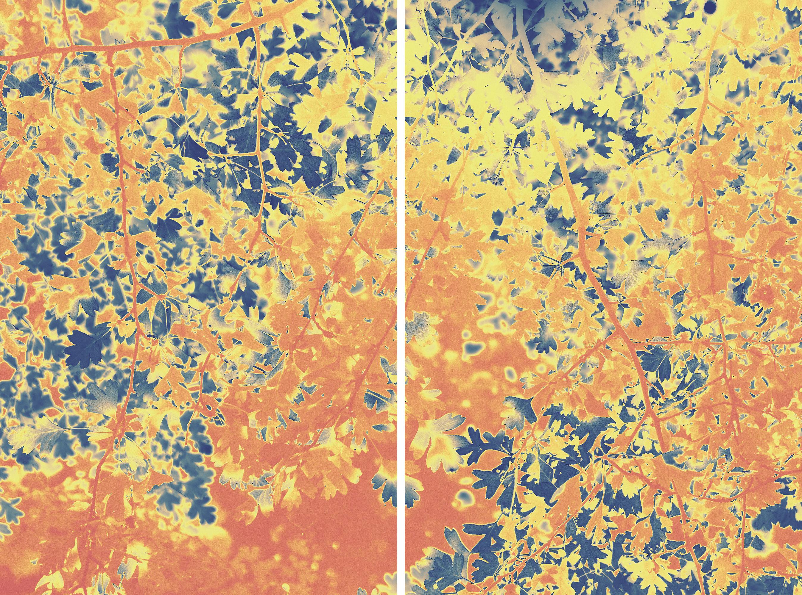 Forest Embers, Giclée Print Diptych Landscape, Warm Tons Abstract Autumn Leaves 