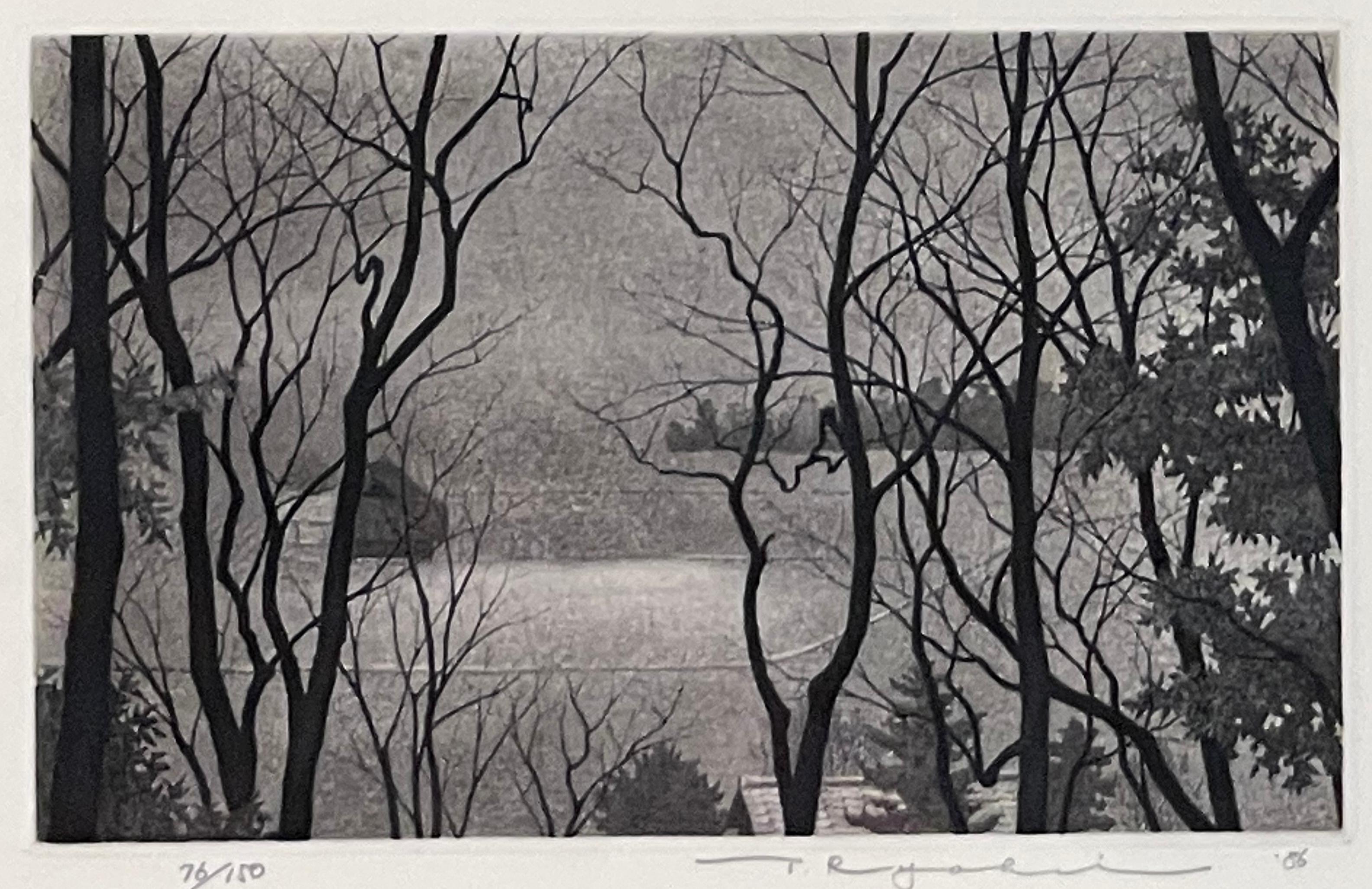 Ryohei Tanaka Landscape Print - WOODED LANDSCAPE AT DUSK