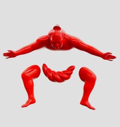 Sekitori : Une force silencieuse cramoisie