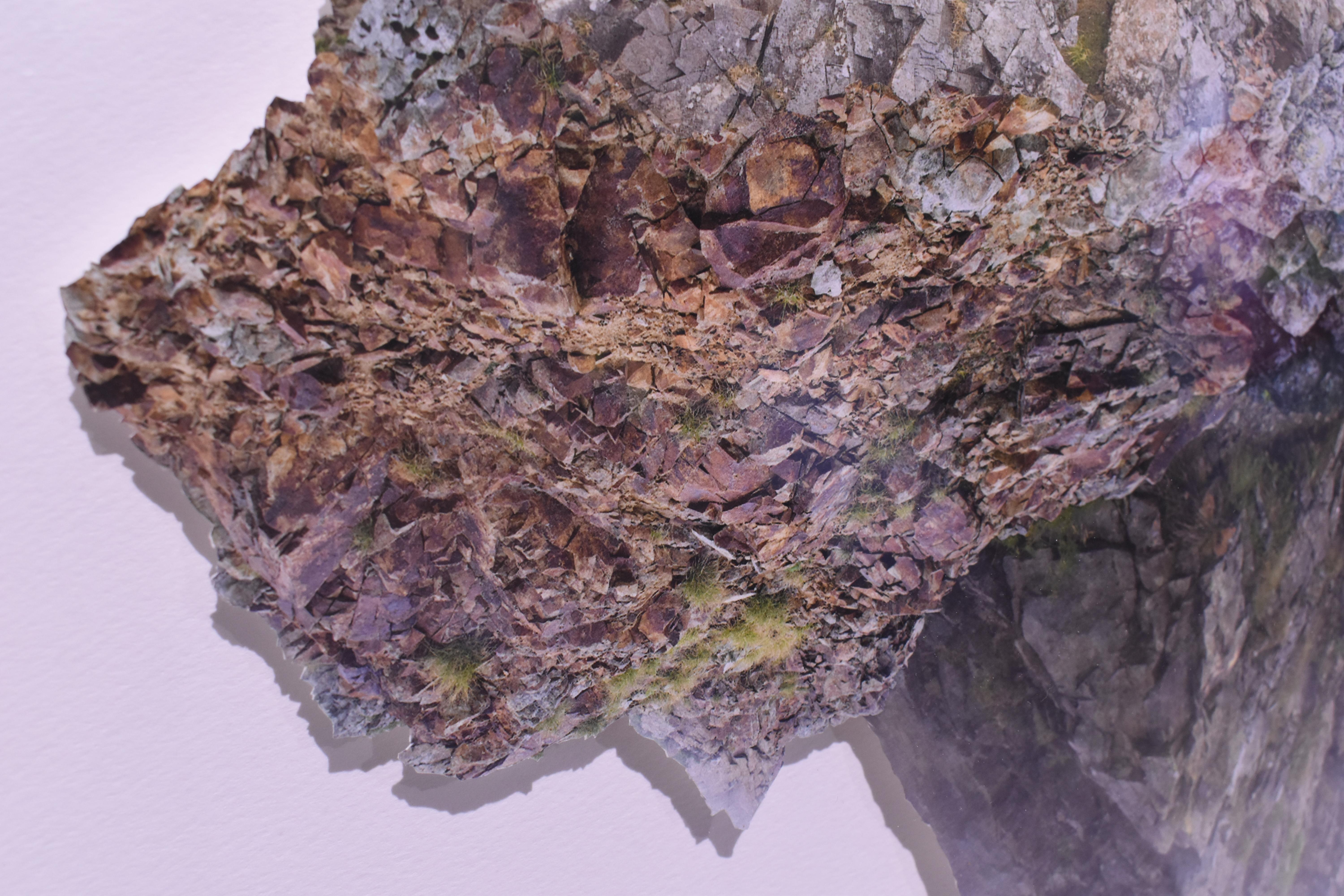 See A World in Rocks. Photo Collage Of Rocks On Hanji Highlight Precious Life   - Contemporary Print by Ryota Shiibashi