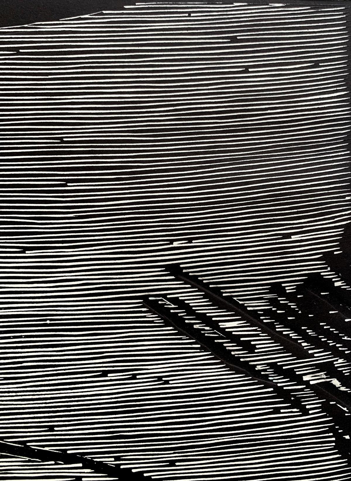Lines- a record. Woodcut, Linocut, Op art, Abstract Print, Polish art For Sale 2