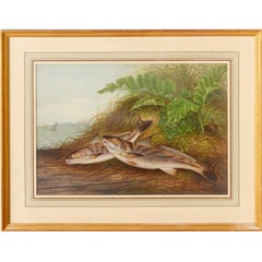 S. A. Kilbourne "Game Fishes of the United States" 4 Framed Chromolithographs
