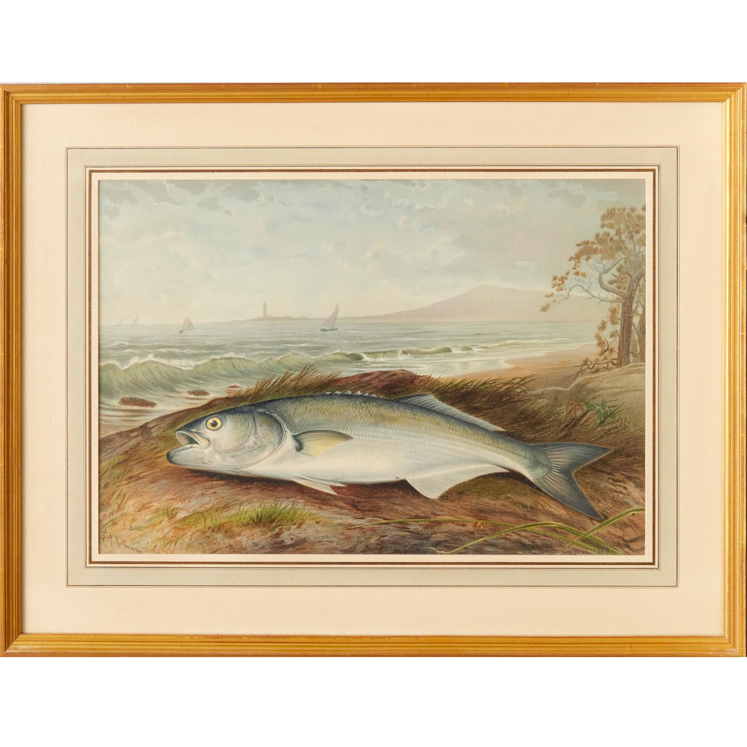 Classique américain S. A. Kilbourne - « Game Fishes of the United States » - 4 chronographes encadrés  en vente